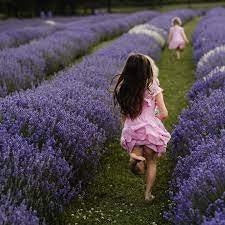 🌸 May at Lavender Lane – A Month to Celebrate Love & Care