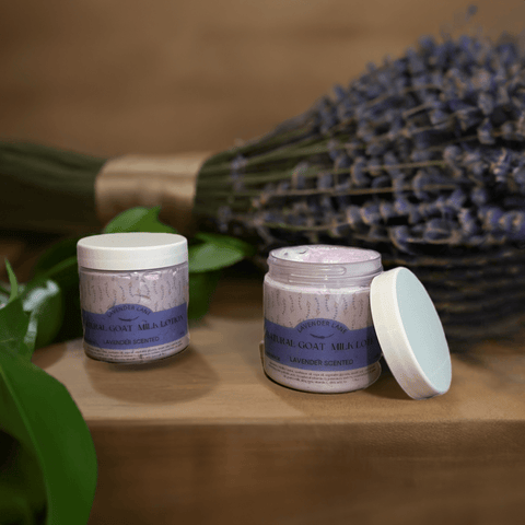 Lavender Goat Milk Lotion - Lavender Lane Shop